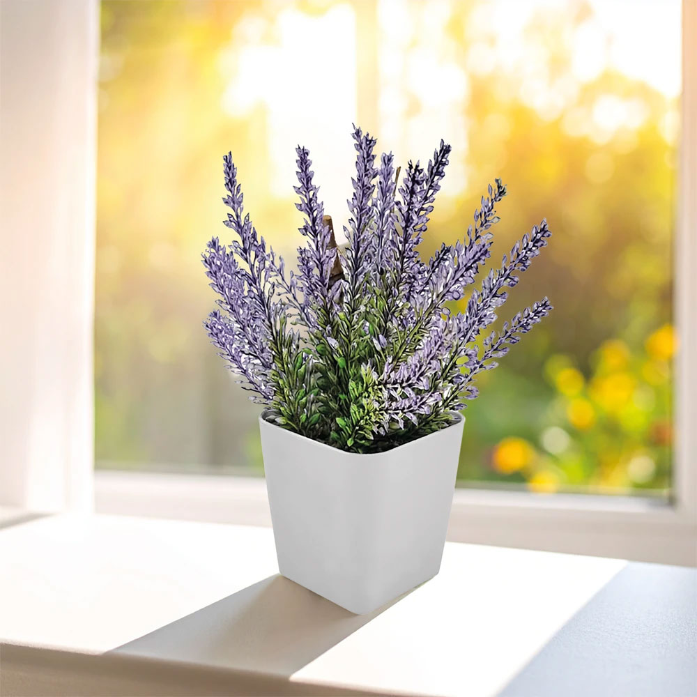 CK-2015 Bitki Yetiştirme Seti