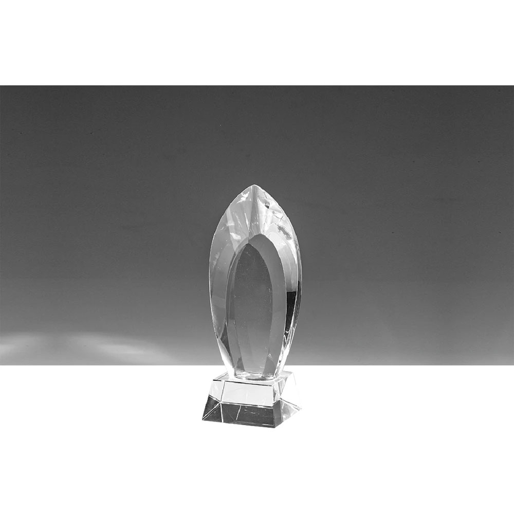 HC-1 Kristal Ödül - Resim1
