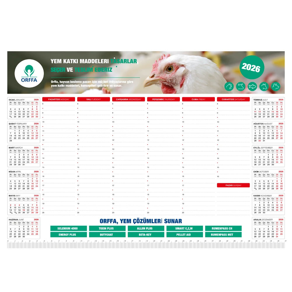 MS-20-43x31 Tarihsiz Masa Sümeni